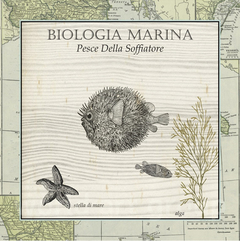 Biologia Marina II - Vision Studio - comprar online