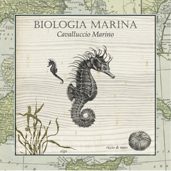 Biologia Marina III - Vision Studio - comprar online