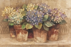 Garden Hydrangeas - Albena Hristova - comprar online