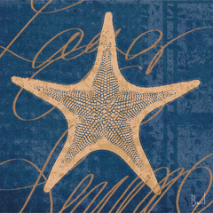 gravuras estrela do mar para quadro