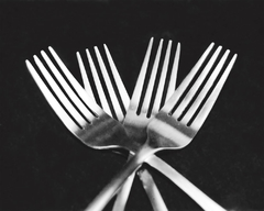 Forks - Mike Feeley