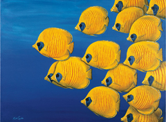 poster de peixes