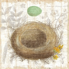 Botanical Nest IV e II - Moira Hershey - comprar online