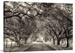 Fotografia paisagem em PB para quadro