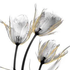 Gravura Flores TulipaTons Pastel 