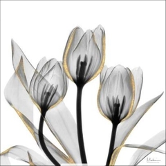 Gold Embellished Tulips V - Albert Koetsier