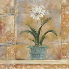 Amaryllis I e Orchid II - Richard Henson - comprar online