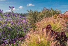 fotografia de paisagem para quadro