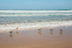 fotografia paisagem para quadro