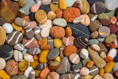 Beach Stones Collection - Barbara Markoff