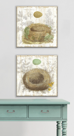 Botanical Nest IV e II - Moira Hershey