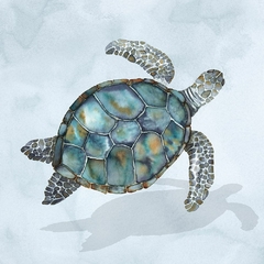 Blue Sea Turtle I - Errico And Slyp