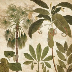 quadro de plantas