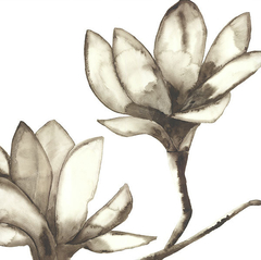 gravura de flores em sépia