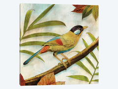 Jungle Bird I - Edward Selkirk na internet