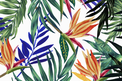 Tropical Foliage - Isabelle Z