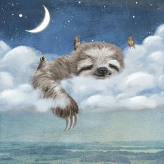 A Sloth’s Dream - Paula Belle Flores