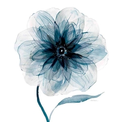 gravura flores azul