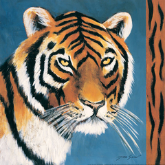 Poster com tigre
