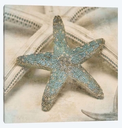 quadro estrela do mar