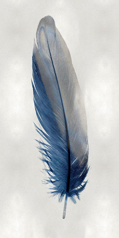 Blue Feather on Silver I - Julia Bosco