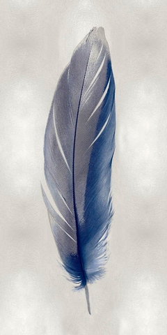 Blue Feather on Silver II - Julia Bosco - comprar online