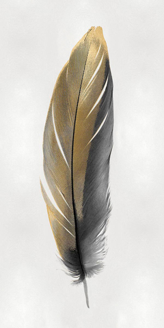 Gold Feather on Silver II - Julia Bosco