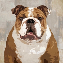 Bulldog - Keri Rodgers