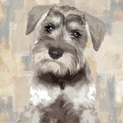 poster Schnauser