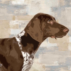 poster cachorro Pointer