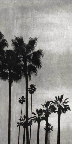 Palm Silhouette on Silver I - Kate Bennett - comprar online