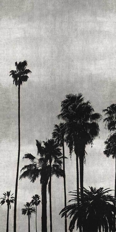 Palm Silhouette on Silver II - Kate Bennett - comprar online