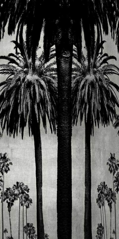 Palms with Silver II - Kate Bennett