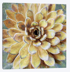 Succulent II - Lindsay Benson - comprar online