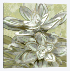 Succulent Verde IV - Lindsay Benson - comprar online