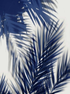 Palm Shadows Blue II - Melonie Miller - comprar online
