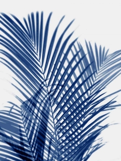 Palm Shadows Indigo I - Melonie Miller - comprar online