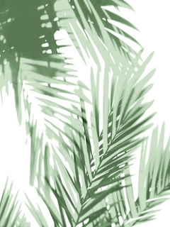 Palm Shadows Green IV - Melonie Miller - comprar online