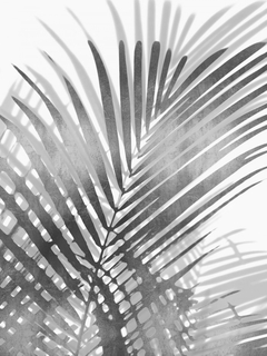 Palm Shadows I - Melonie Miller