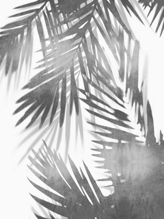 quadro folhas de palmeira em PB