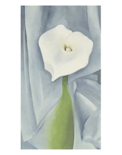 Calla Lily on Grey, 1928 -  Georgia O'Keeffe - comprar online