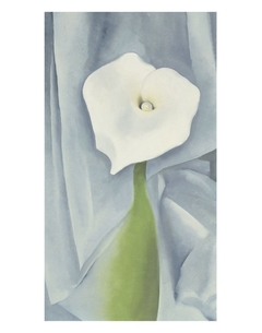 Calla Lily on Grey, 1928 -  Georgia O'Keeffe