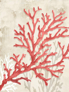 Red Coral Reef I - Eli Jones