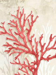 Red Coral Reef II - Eli Jones