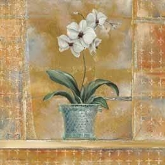 Amaryllis I e Orchid II - Richard Henson na internet