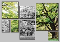 GREEN WOODS 4 MOSAICO MULTICOR - comprar online