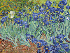 poster van gogh iris