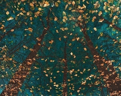 PLATO'S TREES - Lars Van de Goor - comprar online
