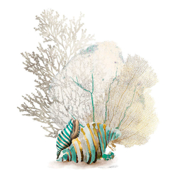 gravura corais do mar para decoração