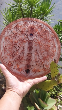 Disco de orgonite chakras - mandala 25cm na internet